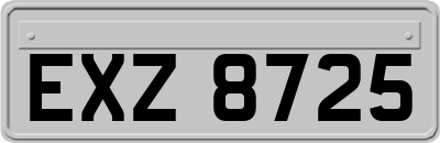EXZ8725