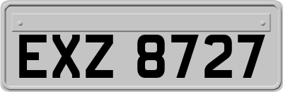 EXZ8727