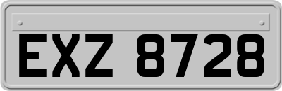 EXZ8728