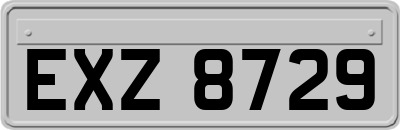 EXZ8729