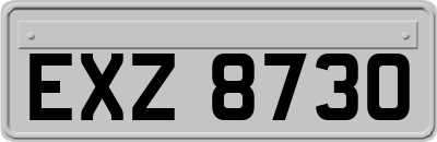 EXZ8730