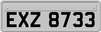 EXZ8733