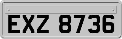 EXZ8736