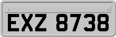 EXZ8738