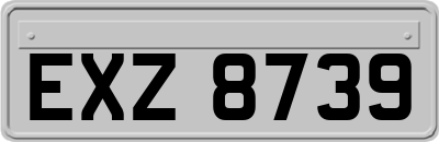 EXZ8739