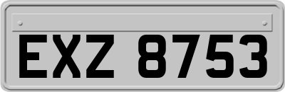EXZ8753