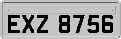 EXZ8756