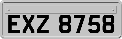 EXZ8758