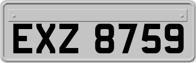EXZ8759