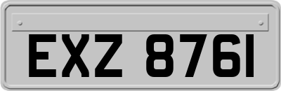 EXZ8761