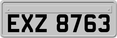 EXZ8763