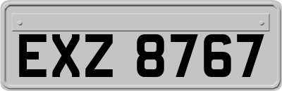 EXZ8767