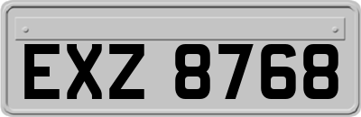 EXZ8768