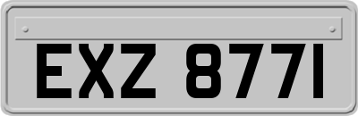 EXZ8771