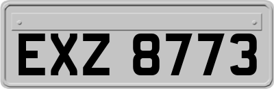 EXZ8773