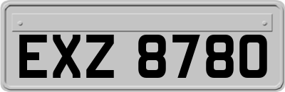 EXZ8780