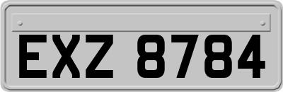 EXZ8784