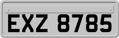 EXZ8785