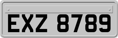 EXZ8789
