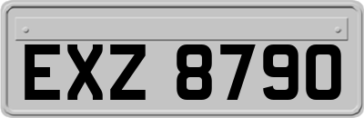 EXZ8790