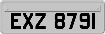 EXZ8791