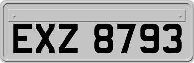 EXZ8793