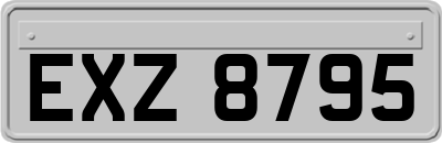 EXZ8795