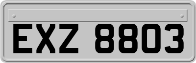 EXZ8803