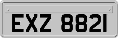 EXZ8821