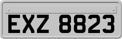EXZ8823