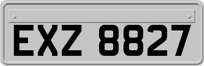 EXZ8827