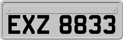 EXZ8833