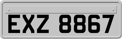 EXZ8867