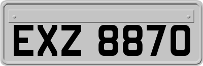 EXZ8870