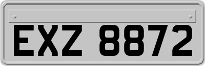 EXZ8872