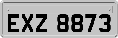 EXZ8873