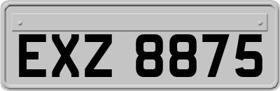 EXZ8875