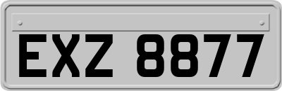 EXZ8877