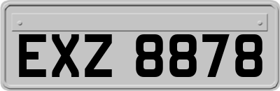EXZ8878