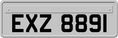 EXZ8891