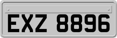 EXZ8896