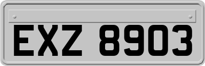 EXZ8903