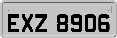 EXZ8906