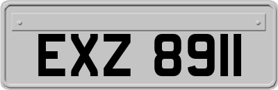EXZ8911