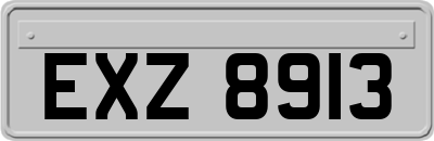 EXZ8913