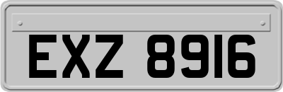 EXZ8916