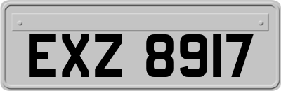 EXZ8917