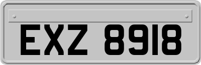 EXZ8918