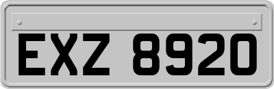 EXZ8920