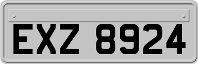 EXZ8924